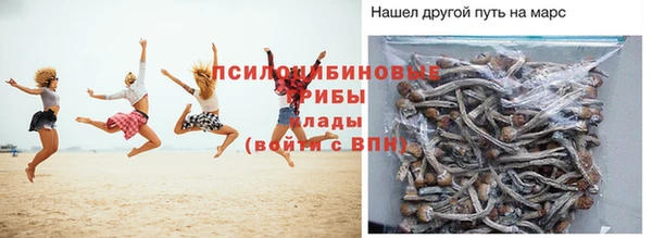 ГАЛЛЮЦИНОГЕННЫЕ ГРИБЫ Покров