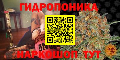 spice Абакан