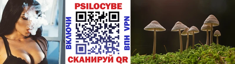 ссылка на мегу как зайти  Азнакаево  Галлюциногенные грибы Magic Shrooms 