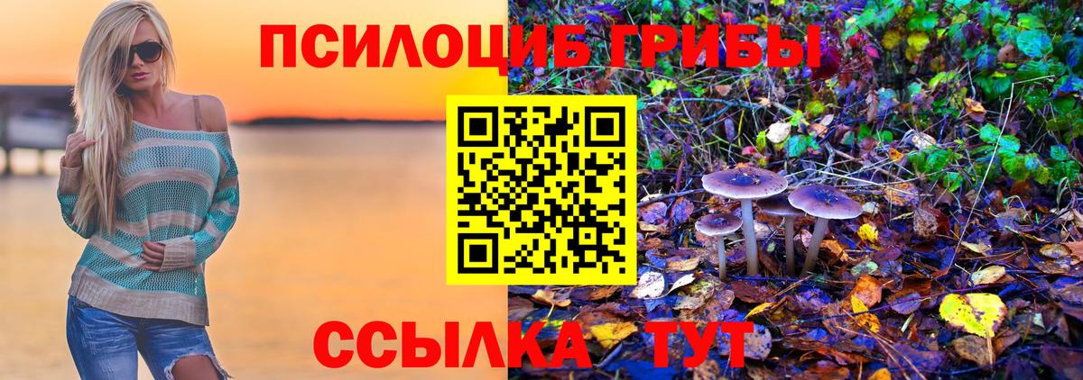 Псилоцибиновые грибы Magic Shrooms  Азнакаево 